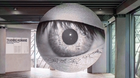 Osservatorio Fondazione Prada. Training Humans