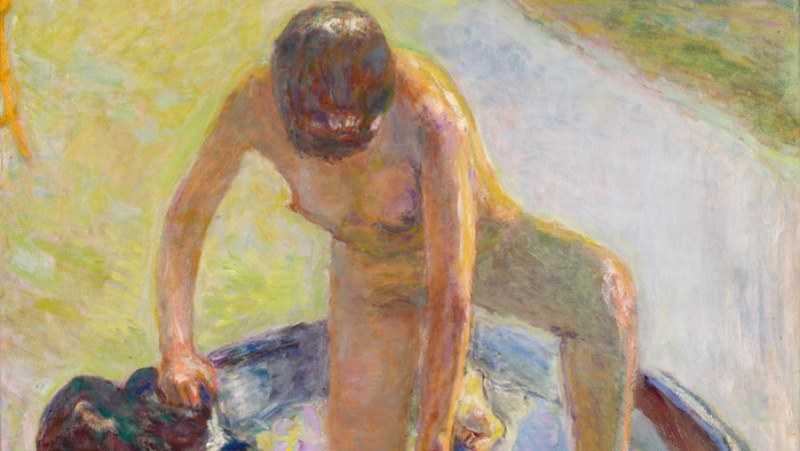 Pierre Bonnard. The Color of Memory 