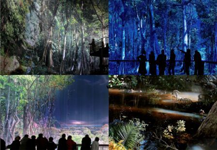 Amazonia: a magical representation of nature 