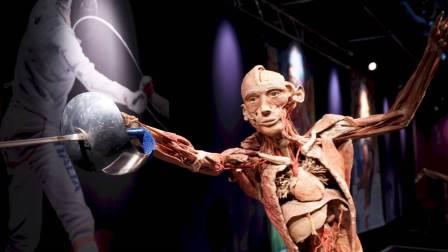 La clase de anatomía que enferma a los visitantes