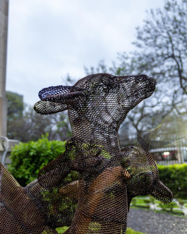 obra Cuerpos Transitorios