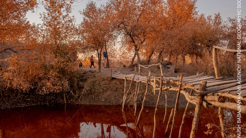 World Press Photo. La fotografía como denuncia social y política