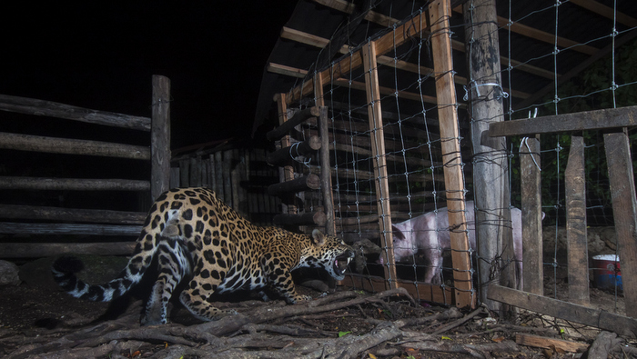 Montphoto: alta convocatoria y regreso a la presencialidad