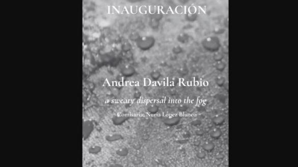 Andrea Davila Rubio inaugura en NÉBOA la exposición "a sweaty dispersal into the fog", comisariada por Nuria López Blanco