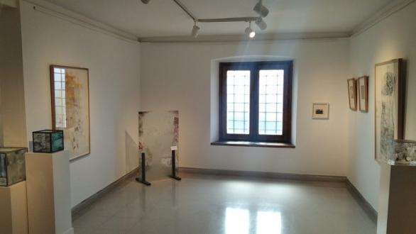 Lourdes Fisa. Exposición Museo Monjo