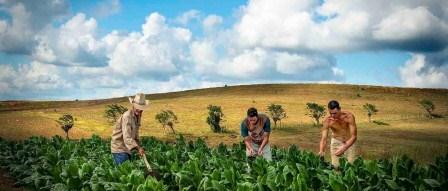 Campesinos: the photo art of Julio Larramendi and Chip Cooper