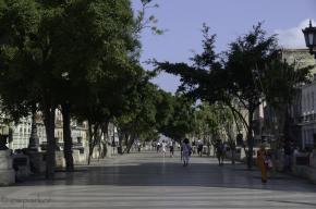 Prado ya está listo para Chanel y su tropa de celebridades  