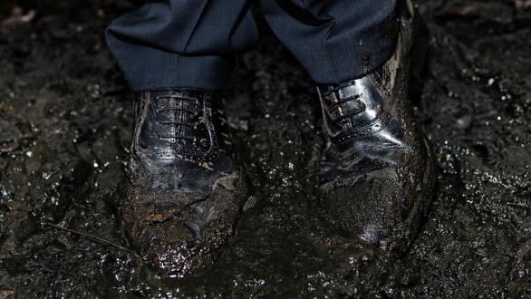 The evolution of King's, 2017. Maria Loboda. Colección Kells