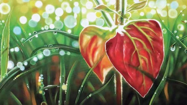 Urgent messages from the water painter