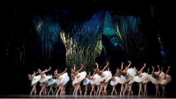 EL LAGO DE LOS CISNES foto Alfredo Cannatello