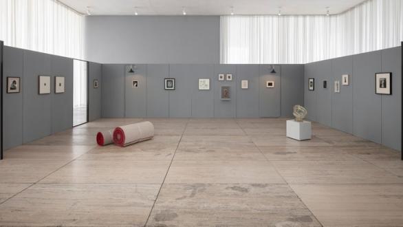 Museo Jumex presents The Tiger’s Coat