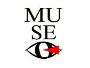 Propuestas de lujo en Bellas Artes durante la XII Bienal