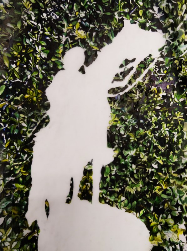 Adele van Heerden, Pretorius Foliage, 2019