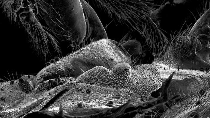 Yves Trémorin en la Bienal: No hago instantáneas