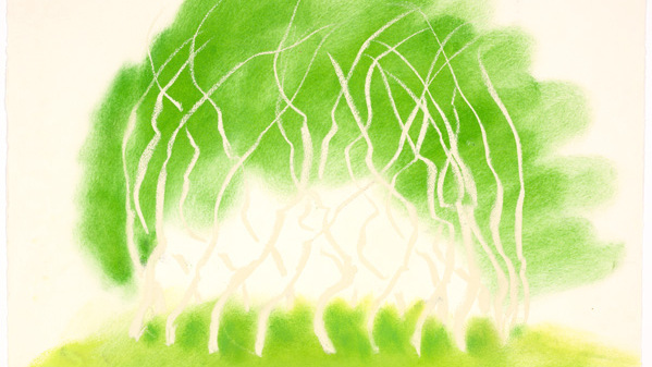 Galerie Lelong & Co. | David Nash