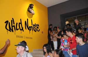 Museo cubano de Bellas Artes inunda sus salas de Bienal