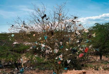 La Galería Adora Calvo expone "Wayúu", la obra de fotografía y vídeo de Magdalena Correa