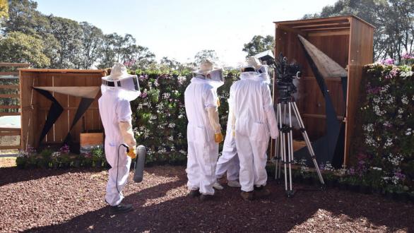 El sol llora por las abejas 