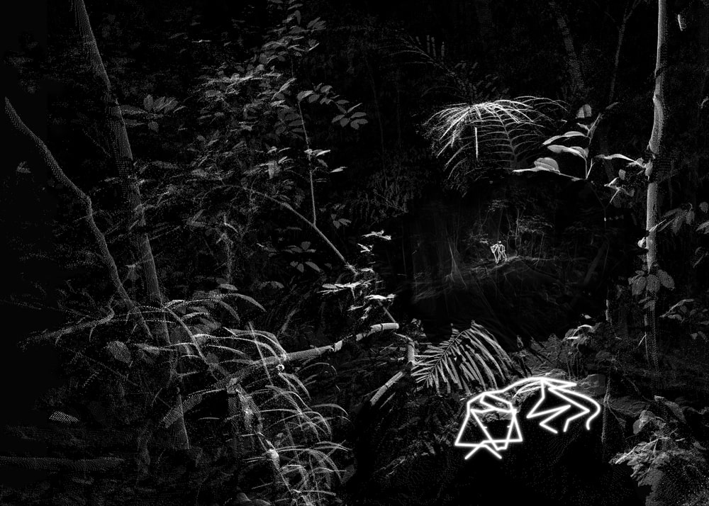 Daniel-Steegmann-Mangrane_A-Dream-Dreaming-a-Dream_Esther-Schipper_5-min.jpg