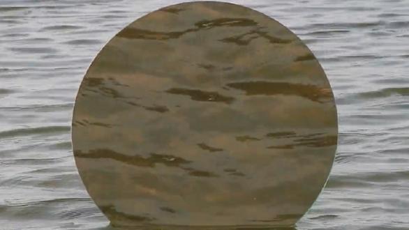 Rabbit Hole | Paulina Mellado