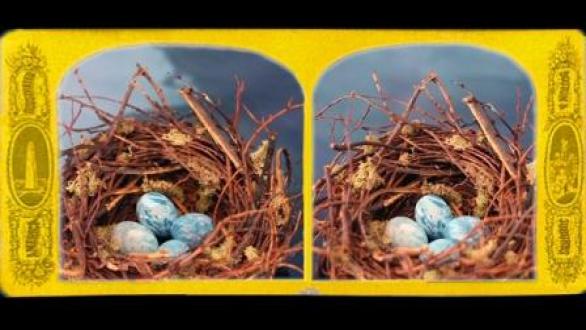 Cauleen Smith, Crow Requiem, 2015 (detail, video still). Courtesy of the artist and Corbett vs. Dempsey, Chicago.