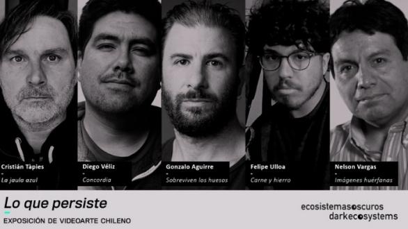 Artistas exposición videoarte Bienal SACO1.2 
