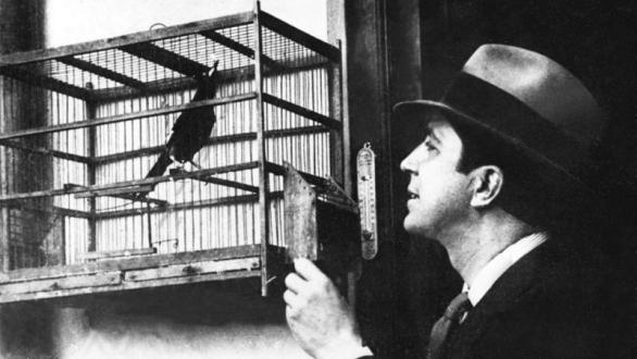 Carlos Gardel, El Zorzal Criollo, escucha el trino del zorzal