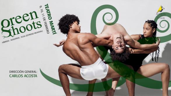 Cartel debut Acosta Danza Yunior 