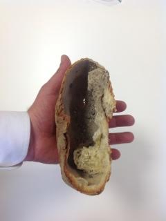 No hay pan, Matheus Rocha Pitta 