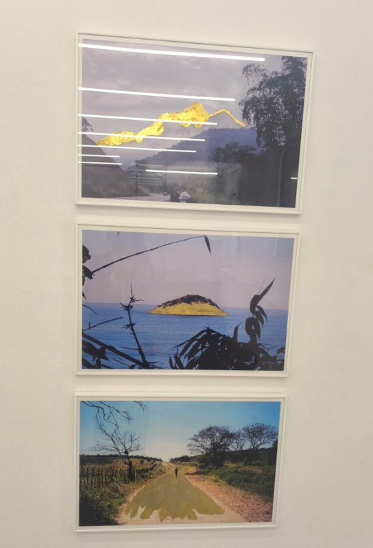 Obra de Denise Milan