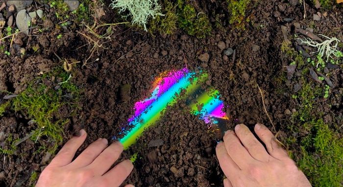 New Digital Art Commission by Rick Silva Launches on whitney.org