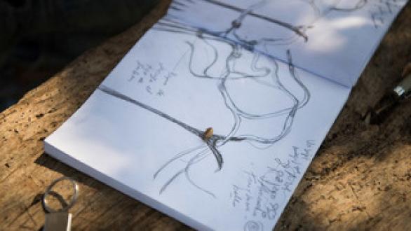 Obra exposición- LOS ALMENDROS DE IBIZA