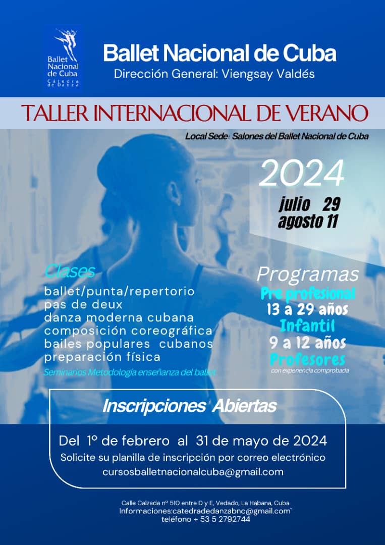 Cartel del Taller Internacional de Verano del BNC 