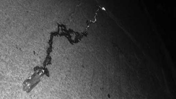 MAKING A RIVER, Fragment
