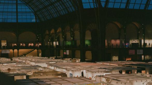 Art BAsel Paris.