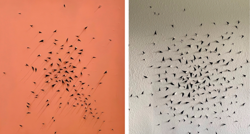 “Pájaros”: el vuelo entre movimiento y simbolismo que prepara Havet Gallery