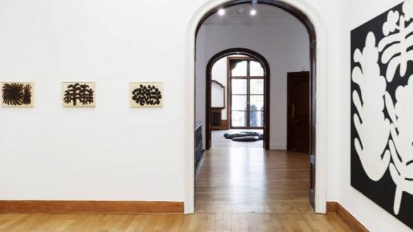 Solange Pessoa In the Sun and the Shade