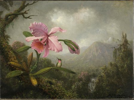 Art and Science Thyssen Museum