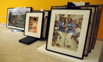 Han sido familia cubanos y estadounidenses en muestra Wild Noise