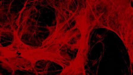 Sculpt, a new film by Loris Gréaud