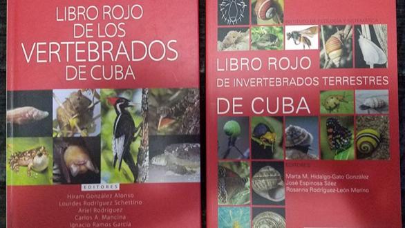 Libro de Larramendi
