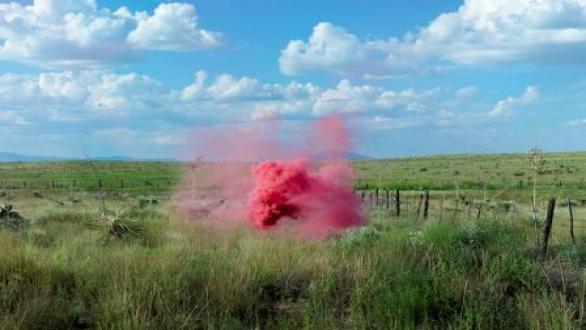 Irby Pace, Tumblweed, 2015. Courtesy of Galleri Urbane Marfa + Dallas.