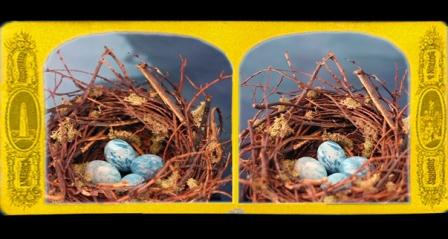 Flash: Cauleen Smith 