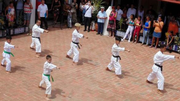 Muestra de artes marciales 