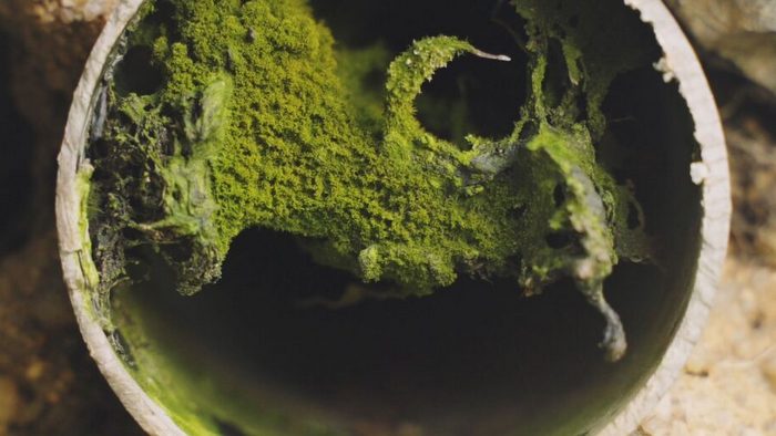 En Swab Barcelona también habrá videoarte