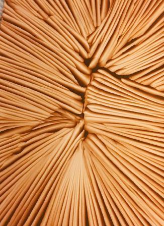 CONTEXT art MIAMI Gema Llamazares