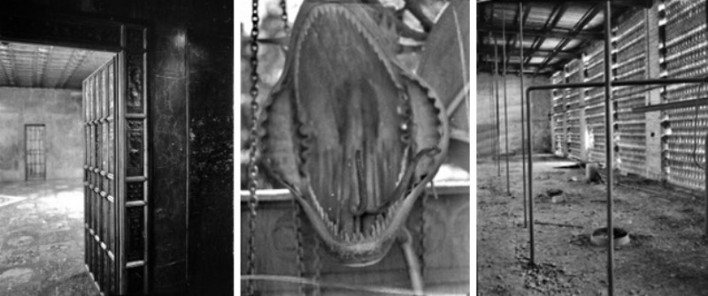 Siguiendo los Itinerarios XXVIII en el Centro Botín