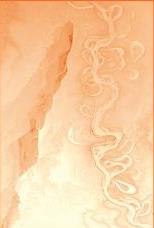 Galerie Eric Mouchet. Exhibition “Mapping at Last”