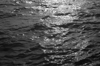 "Driftwood, or how we surfaced through currents"