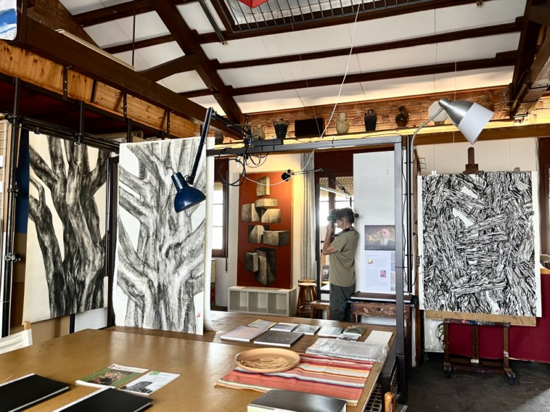 JOAN 100 ANYS Estudi Taller juliol 2025